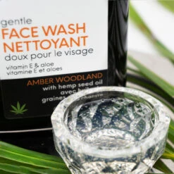 Amber Woodland Gentle Face Wash 6.7 Fl Oz/200 ML -Primally Pure Shop AW Gentle Face Wash lifestyle shot 2000x2000 33978.1629496108