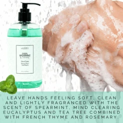 Cool Spearmint & Thyme™ Hand Soap 16 Fl Oz/473 ML -Primally Pure Shop CST Hand Soap web creative 39724.1613779201