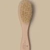 Facial Dry Brush 1 Facial Dry Brush -Primally Pure Shop PrimallyPure 0142